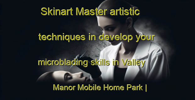 Skinart Master artistic techniques in develop your microblading skills in Valley Manor Mobile Home Park | MicrobladingTraining | MicrobladingClasses | SkinartTraining-United States